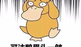 打今日一线爆料要钱吗,是否需要支付费用？