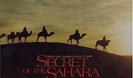 撒哈拉电影在线观看,穿越沙漠的浪漫传奇